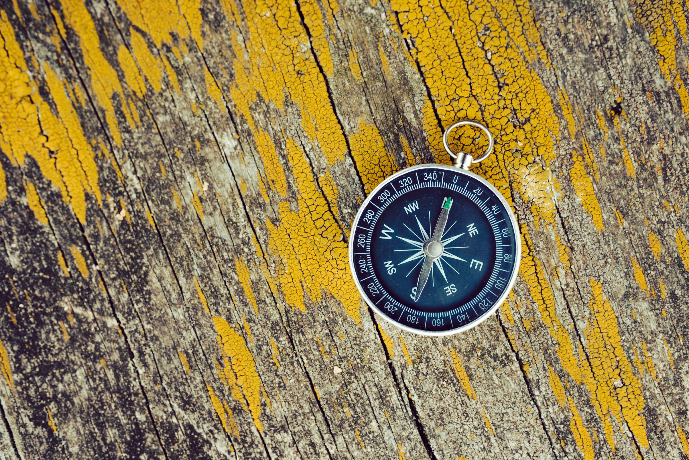 Ein Kompass liegt auf einem alten Stück Holz, das mit Moos bewachsen ist.