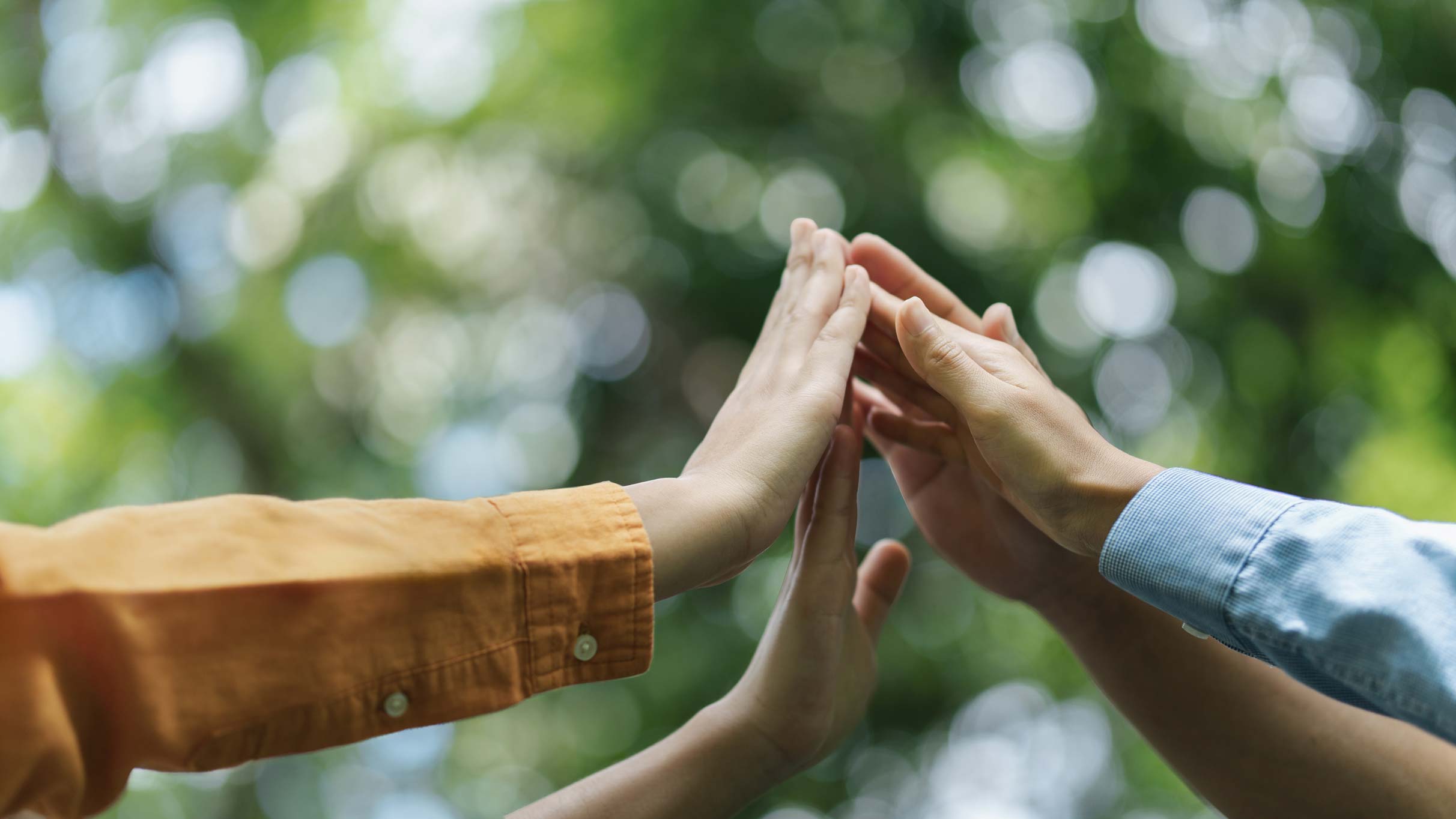 Teamwork_Natur_CVM Vier Hände von vier Menschen berühren sich.