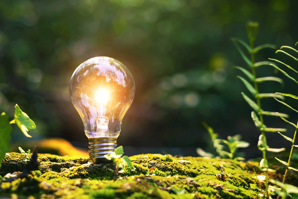 light-bulb-is-lit-up-in-forest-setting-2026-01-09-11-51-58-utc-(1)_b